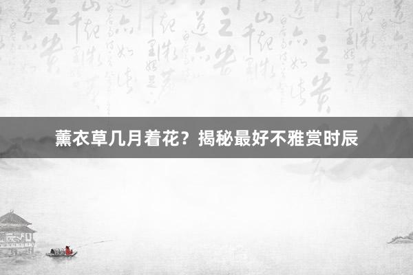薰衣草几月着花？揭秘最好不雅赏时辰